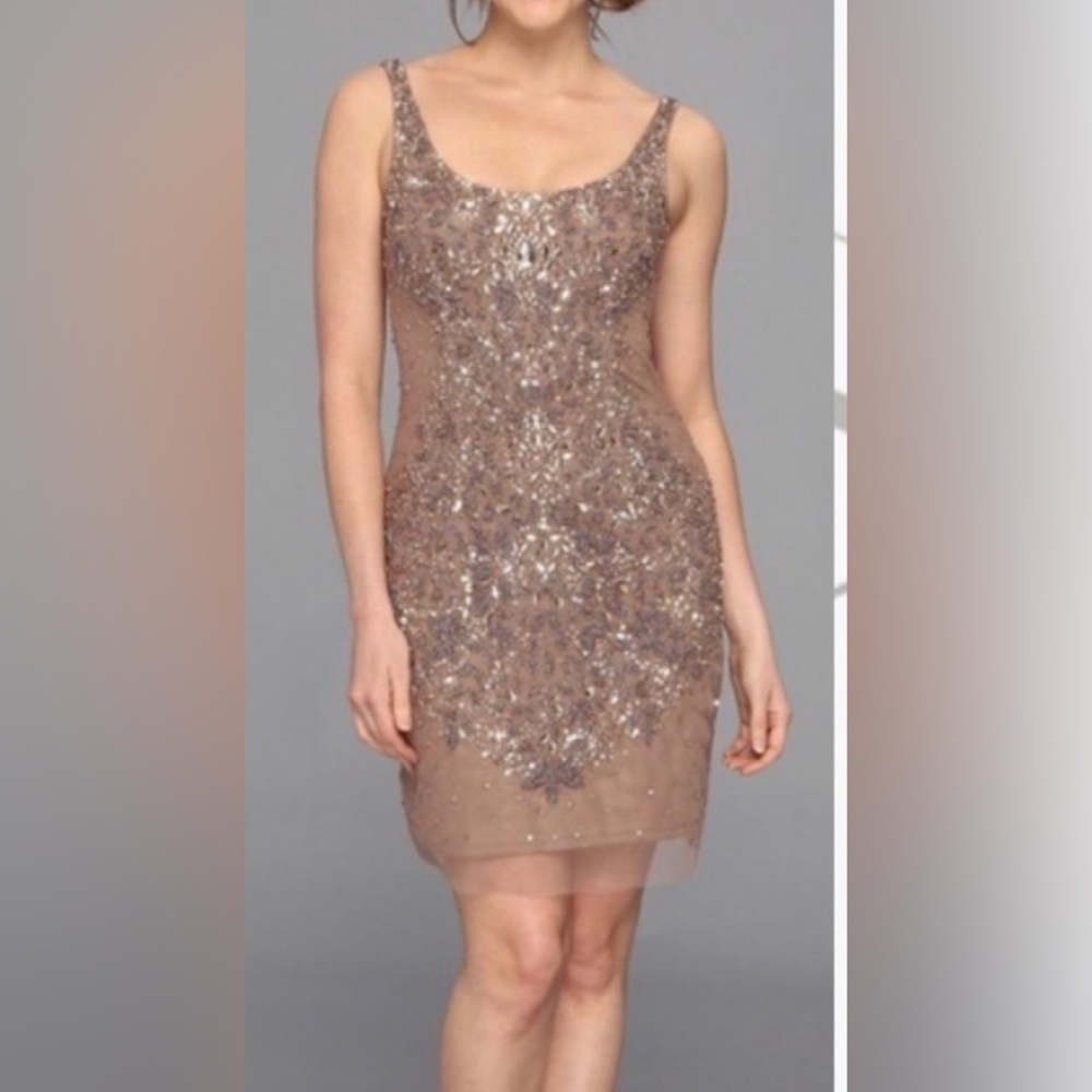 Adriana Papell party dress size 12